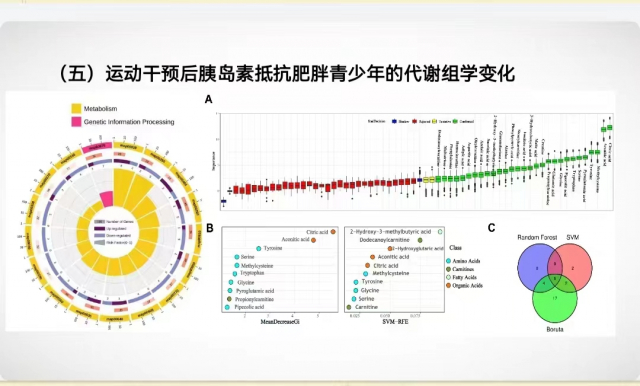球友体育稳定线路