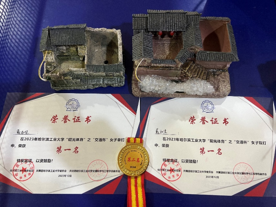 球友体育欧冠直播