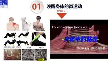 球友体育指定通道